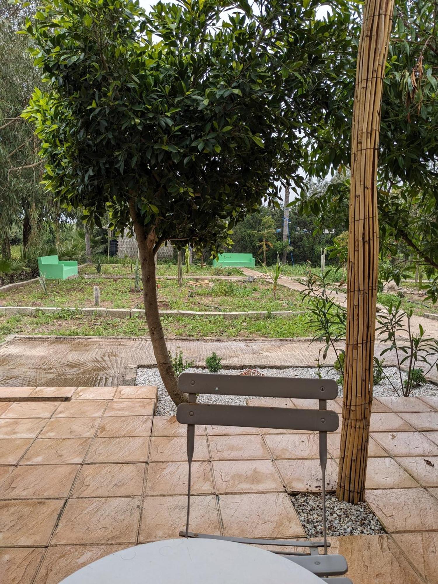 Mesdunes Azemmour Dış mekan fotoğraf